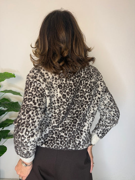 Maglione Volpe