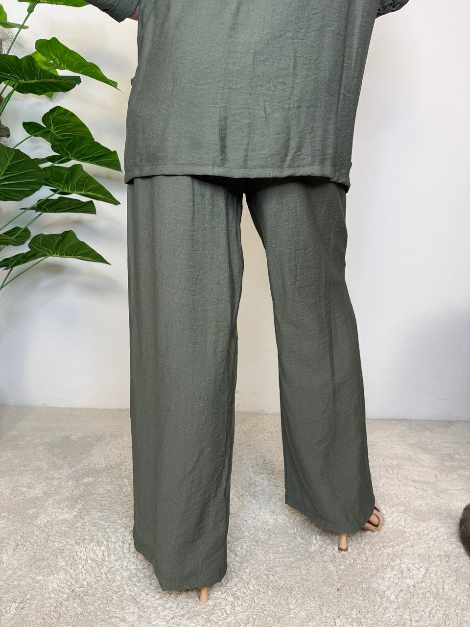 Coordinato Livia